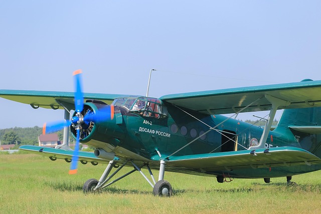 dr cazares mcallen 2