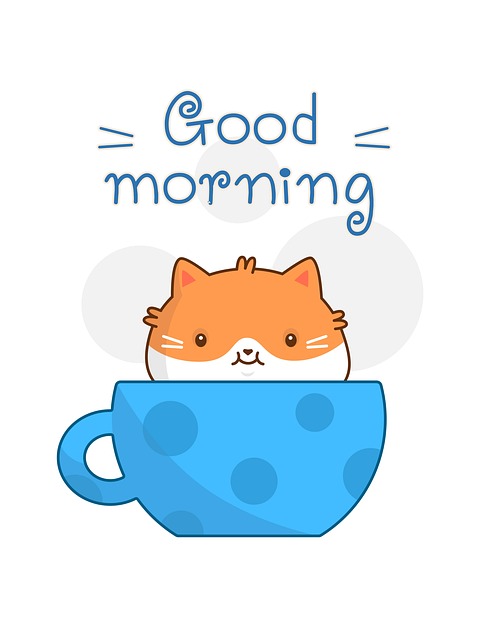 How much does a dental cleaning cost in McAllen