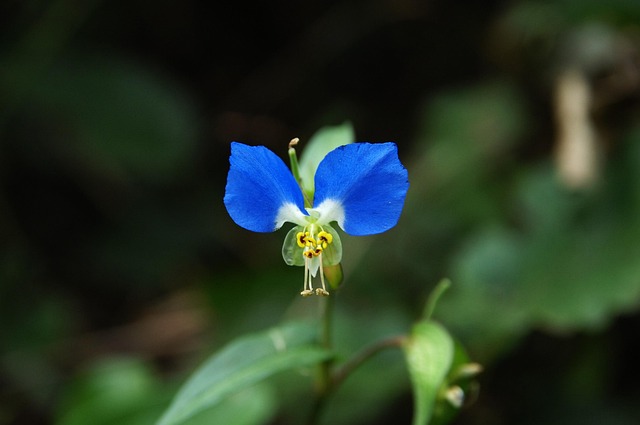 How often should I visit a McAllen dentist for checkups