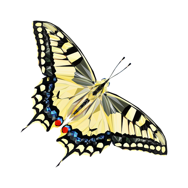 low cost dentist mcallen tx