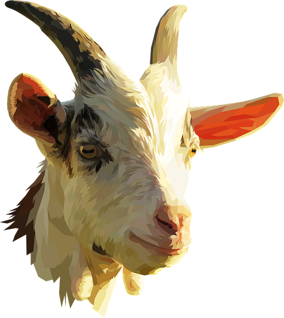 low cost dentist mcallen tx