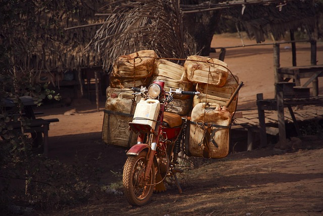 McAllen General Dentist: Services & Oral Care Needs Guide